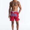 USA Freedom Stars Swim Trunk 7″