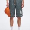Collegiate Pinstripe Baggy Short