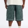 Collegiate Pinstripe Baggy Short