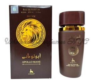 Apollo Mane Brown for Men