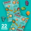 Scooby-Doo Fruit Flavored Snacks, Kid Halloween Treats (22 Pouches)