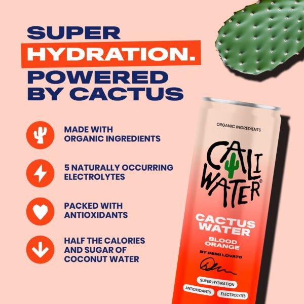 535820d9-248c-48dc-851a-ec5b97fd14f2.0e573b4f8851016faf89723a02808b38.jpeg Caliwater Blood Orange Cactus Water, 12 fl oz Single Liquid Can