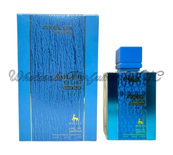 6D7C29DF-51AF-4DD4-8668-FCF1DB7F9829.jpg Ameer Oud Aqua Blue for Men