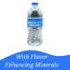 84632be1-78b0-4fad-b3ba-4fafc23a9416.1406d0ae90745e2536f2eb1e8b93def1.png Purified Drinking Water Bottles, 20 fl oz, 12 Count