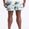 Tropical Palms Swim Trunk 4″