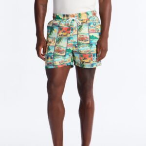 Send Me A Postcard Swim Trunk 4″