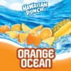 (4 pack) Hawaiian Punch Orange Ocean Juice, 1 Gal, Bottle