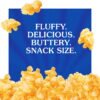c2876105-2ebe-499d-b080-d4bcaf0d1ae7.e5b1e27422bd22349979094ce9e8a0fb.jpeg Act II Butter Mini Bags Butter Lovers Microwave Popcorn, 1.19 oz., 12-Count Bags