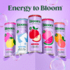 Bloom Nutrition Sparkling Energy Drink, Strawberry Watermelon, 12 fl oz Single Can