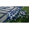 EA Sports Madden NFL 27 - Nintendo Switch 2 Game