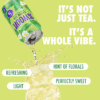 ea2f4e45-ce11-4f30-aeab-4388497cf037.6c3bdfbfed6e4c63e2216f7b41997803.png Swoon Zero Sugar Perfectly Sweet Green Tea, 5 Calories, Sugar Free, 12 fl oz Can, 4 Pack